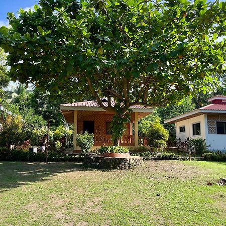 Paco'S Garden Home Stay มัมบาเฮา ภายนอก รูปภาพ