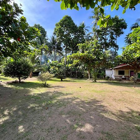 Paco'S Garden Home Stay มัมบาเฮา ภายนอก รูปภาพ
