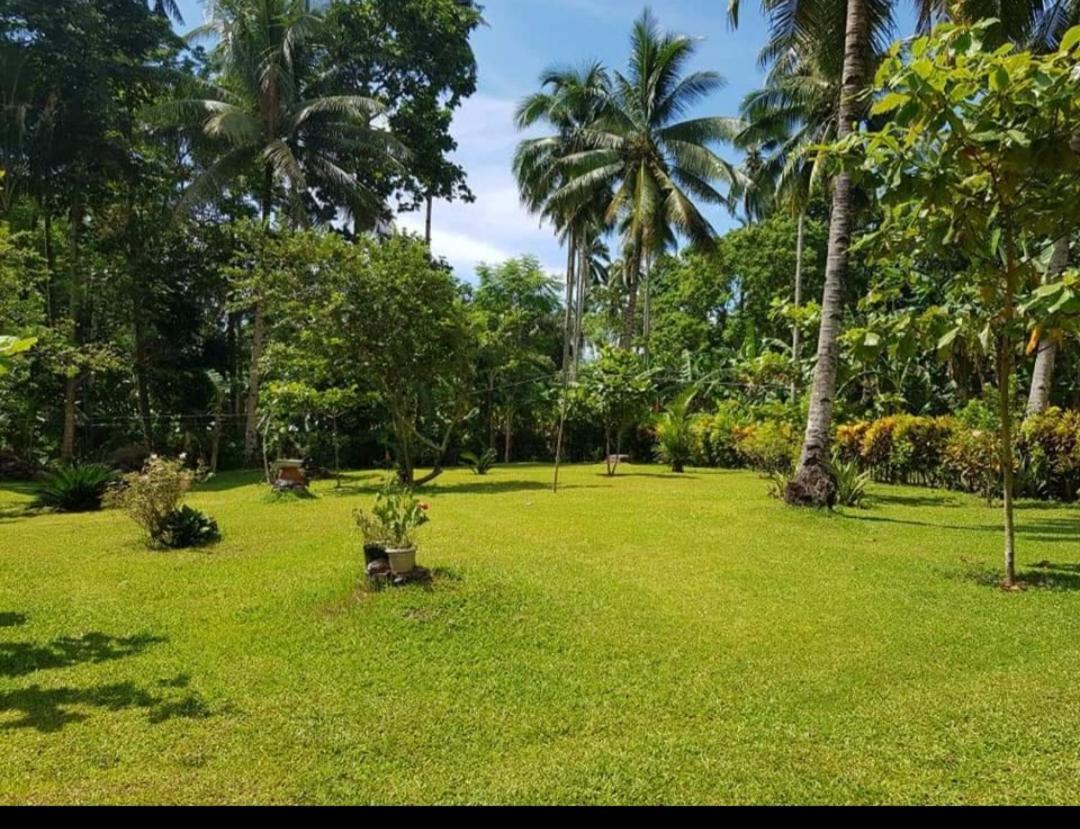 Paco'S Garden Home Stay มัมบาเฮา ภายนอก รูปภาพ