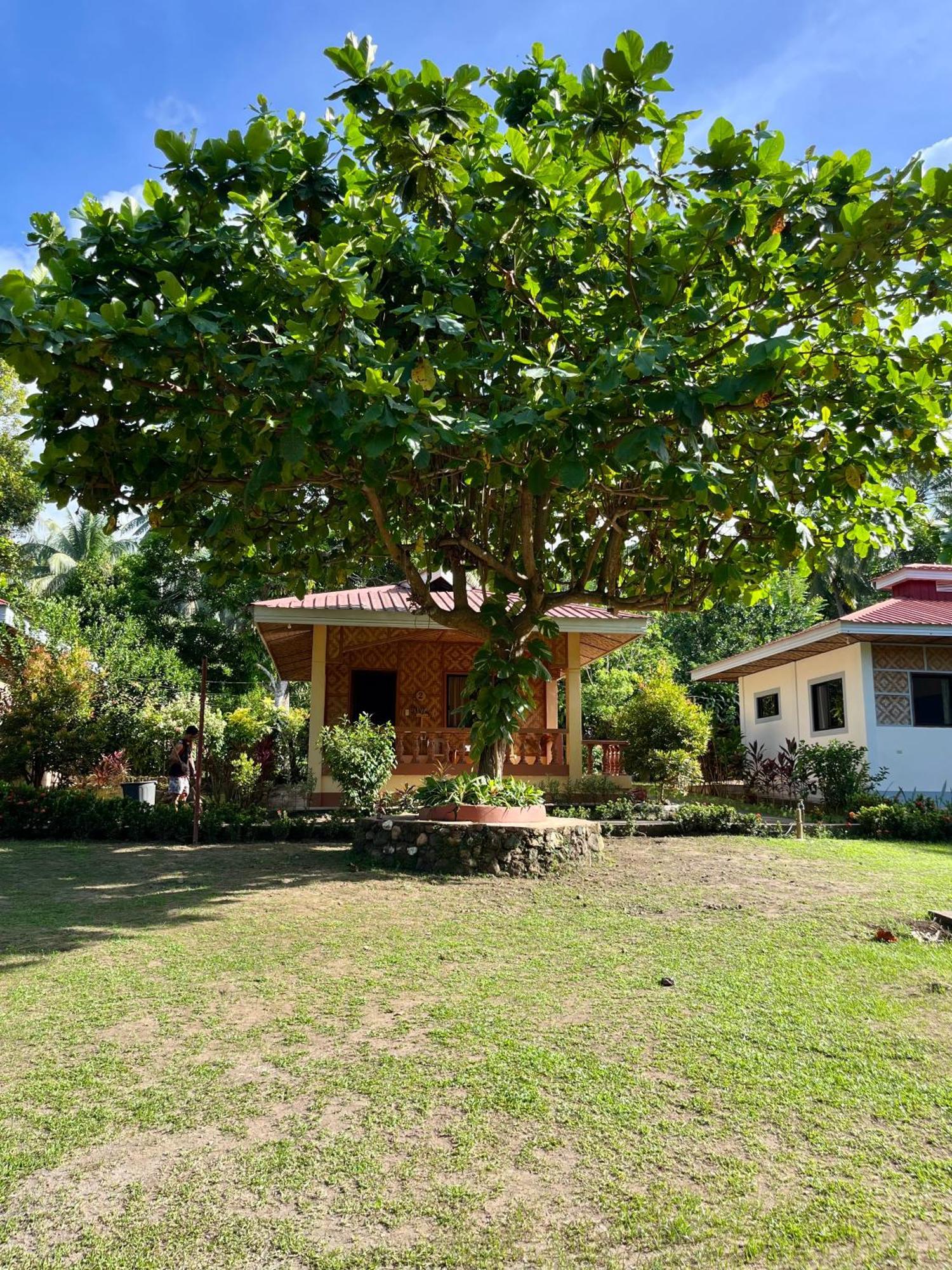 Paco'S Garden Home Stay มัมบาเฮา ภายนอก รูปภาพ