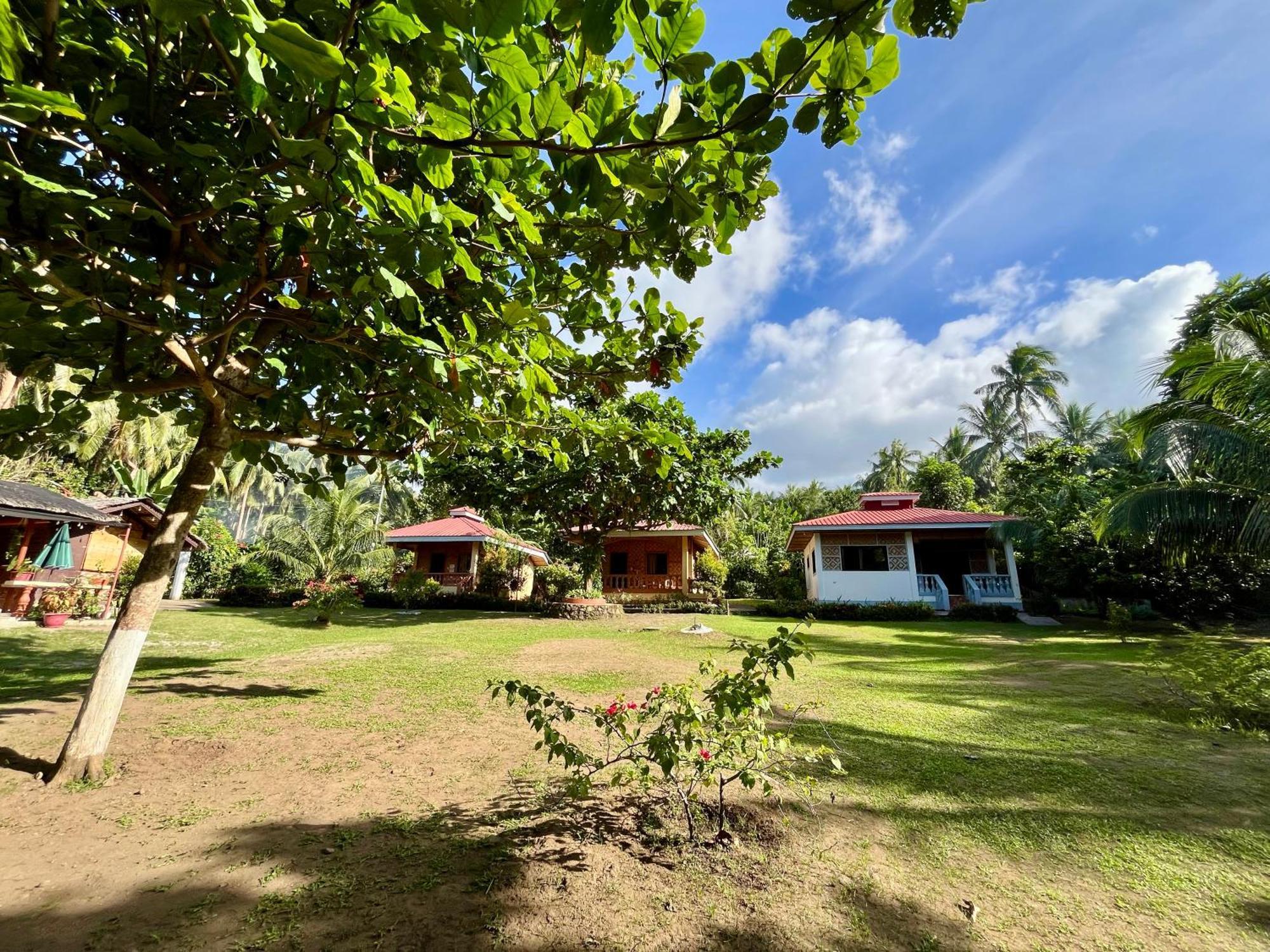 Paco'S Garden Home Stay มัมบาเฮา ภายนอก รูปภาพ