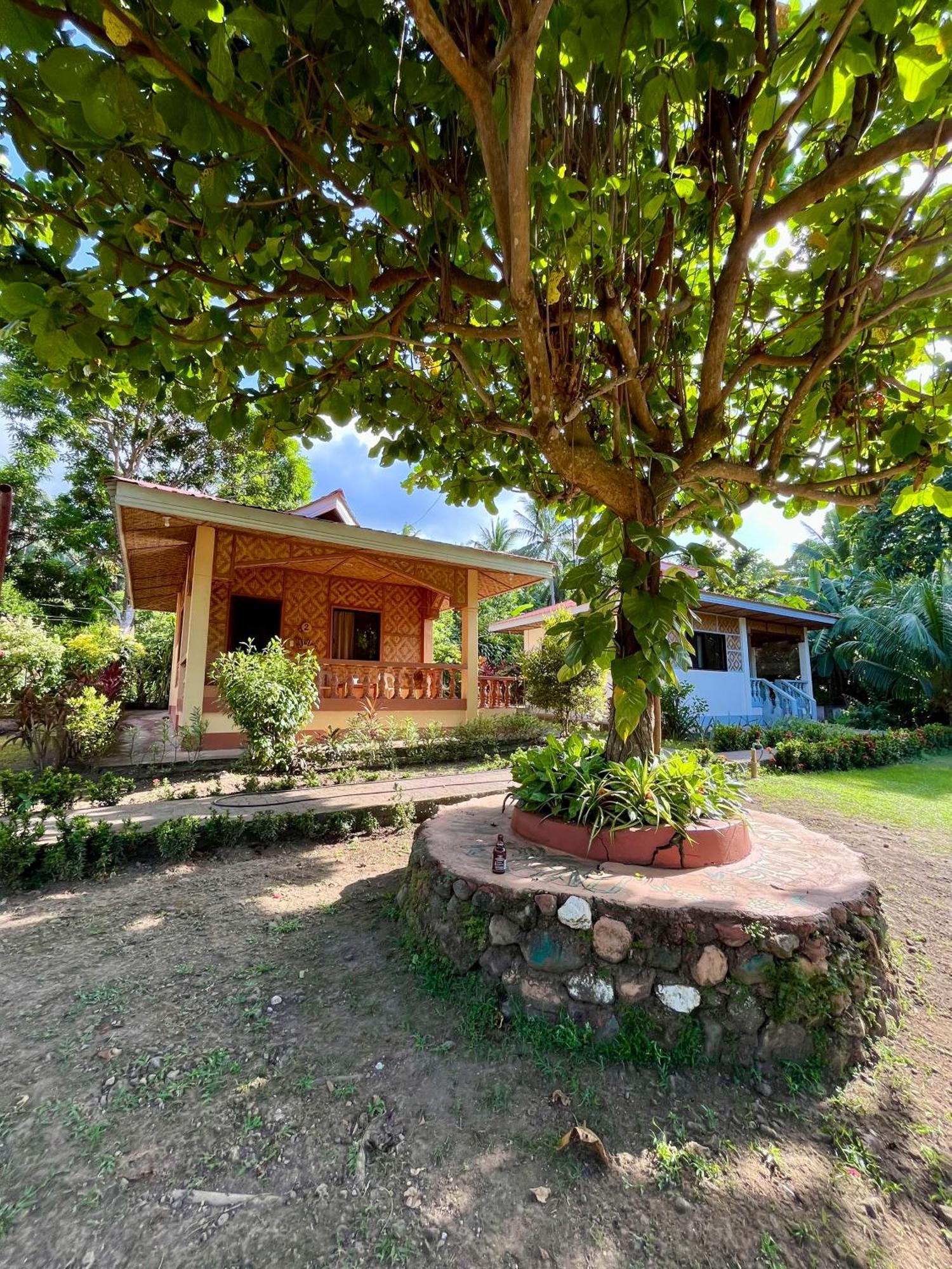 Paco'S Garden Home Stay มัมบาเฮา ภายนอก รูปภาพ